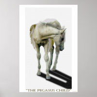 Young White Pegasus Colt Fantasy Art