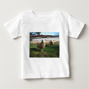 Young White Sheep on the Farm Baby T-Shirt
