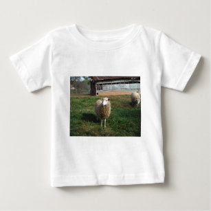 Young White Sheep on the Farm Baby T-Shirt