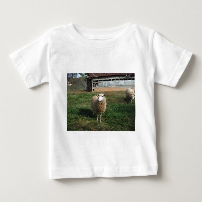 Young White Sheep on the Farm Baby T-Shirt (Front)