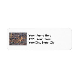 Young Whitetail Deer Series Address Label