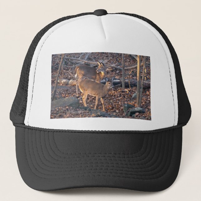 Young Whitetail Deer Series Trucker Hat (Front)