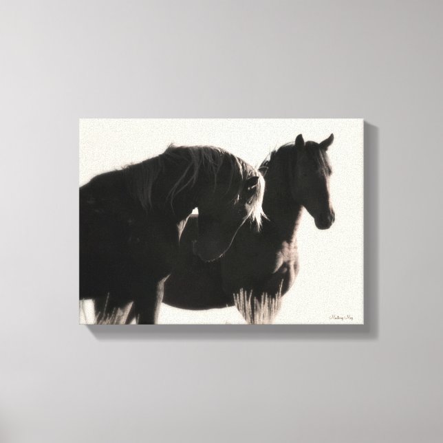 Young Wild Stallions Canvas Print (Front)