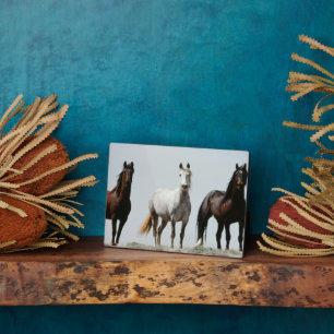 Young Wild Stallions Plaque