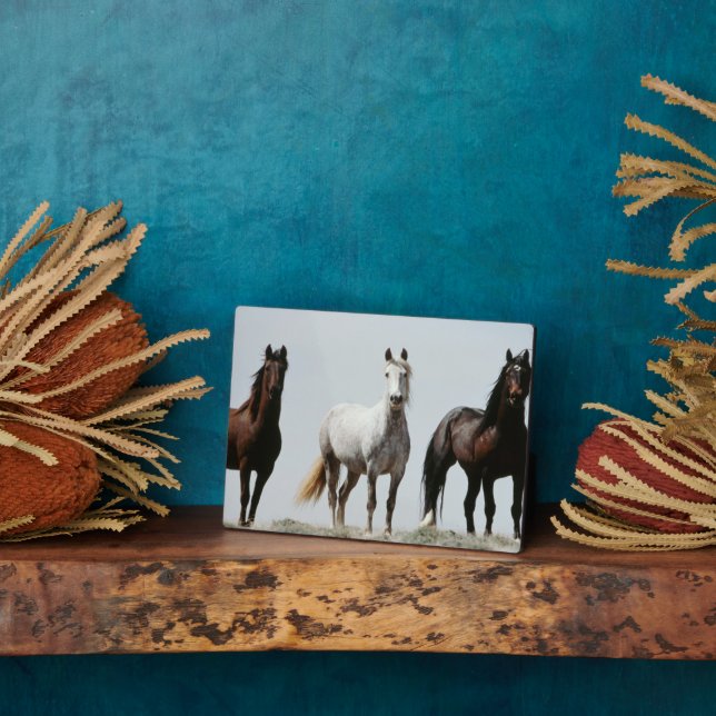 Young Wild Stallions Plaque (Side)