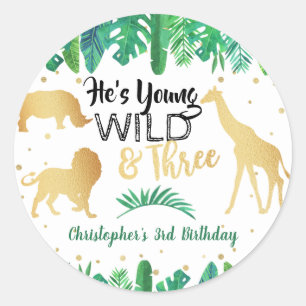 Young Wild & Three Boys Third Birthday Classic Round Sticker