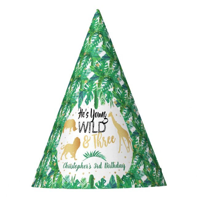Young Wild & Three Boys Third Birthday Party Hat (Front)