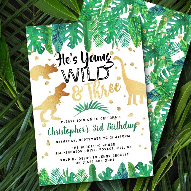 Young Wild & Three Dinosaur Boys 3rd Birthday Invitation (Creator Uploaded)