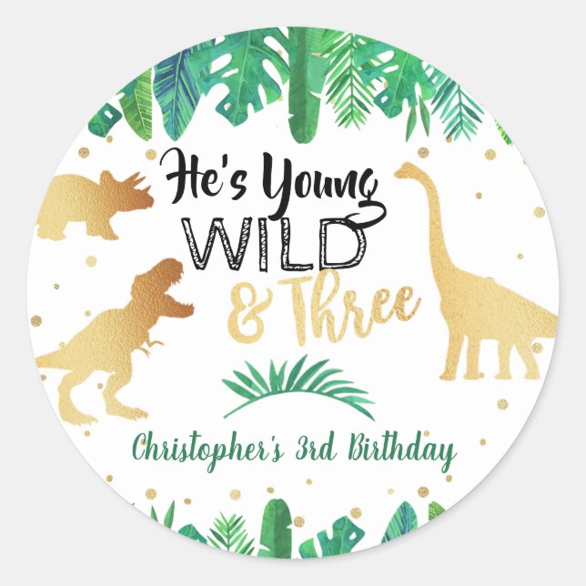 Young Wild & Three Dinosaur Boys Third Birthday Classic Round Sticker (Front)