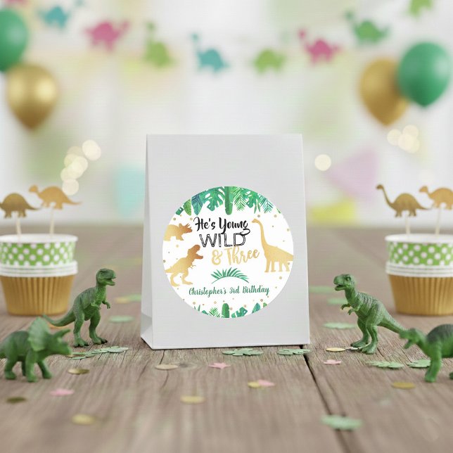 Young Wild & Three Dinosaur Boys Third Birthday Classic Round Sticker (Creator Uploaded)