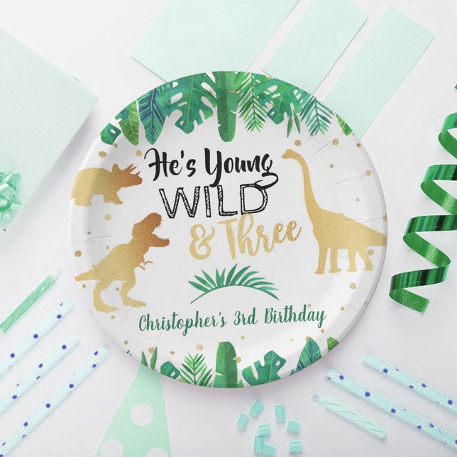 Young Wild & Three Dinosaur Boys Third Birthday Paper Plate (Creator Uploaded)