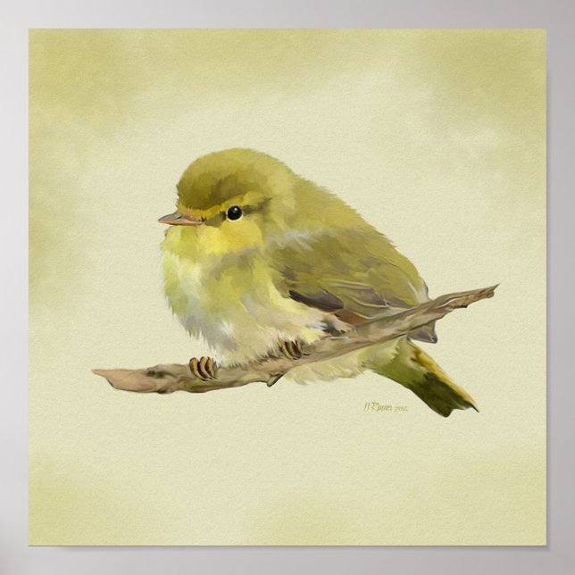 Young Wood Warbler Poster (Front)