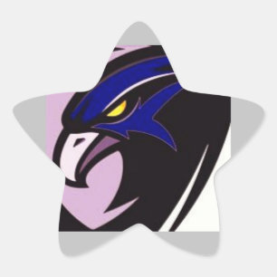 Youngstown Nighthawks Star Sticker
