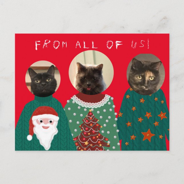 Your 3 Cats in Ugly Christmas Sweaters Postcard (Front)