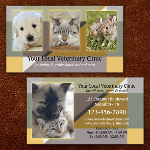 Your 4 Photos Animal or Veterinary Clinic Business Card