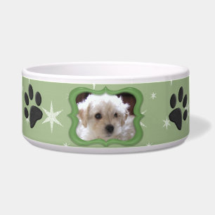 Your A Star Dog Dish - Customise Photo