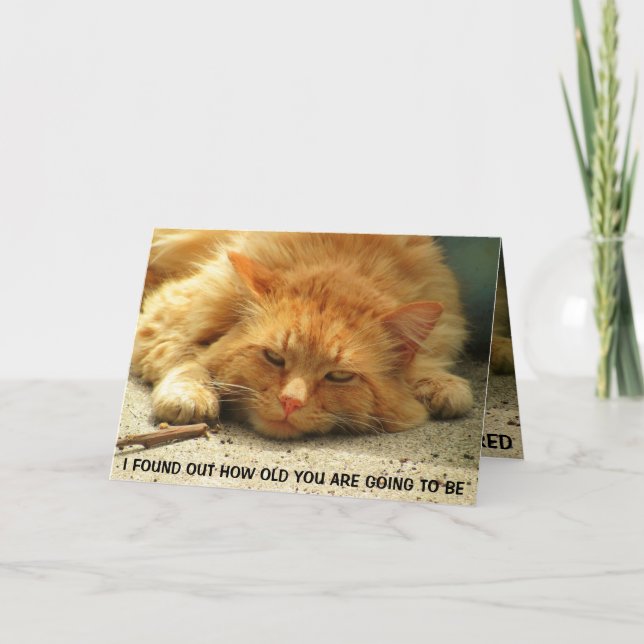 Your Age Made Me Laugh Myself To Sleep Card (Front)