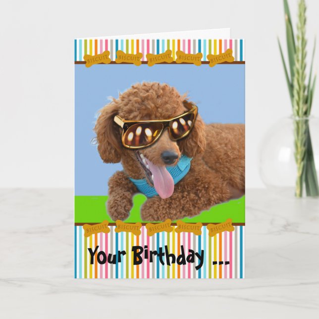 Your Birthday is Hot with Red Poodle in Shades Card (Front)