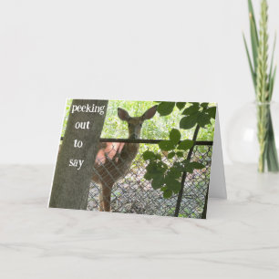 YOUR BIRTHDAY IS "SPECIAL TO ME" CARD