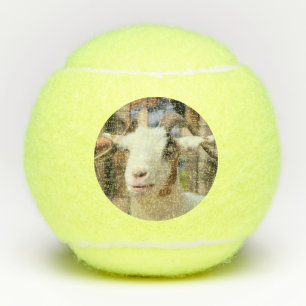 Your camera looks tasty tennis balls
