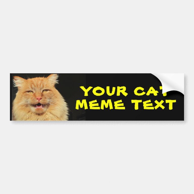 Your Cat Meme Text Bumper Sticker (Front)