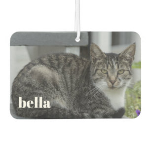 Your Cat Name and Pet Photo Template Car Air Freshener