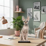 Your Cat Photo Acrylic Cut Out Statue<br><div class="desc">Use one of the many free tools available to do background removal of your photo, then upload your cutout photo here, and we do the rest - Truly a unique way of putting loved ones on display - Photo Statues are a fun alternative to your typical photo - Free-standing photo...</div>