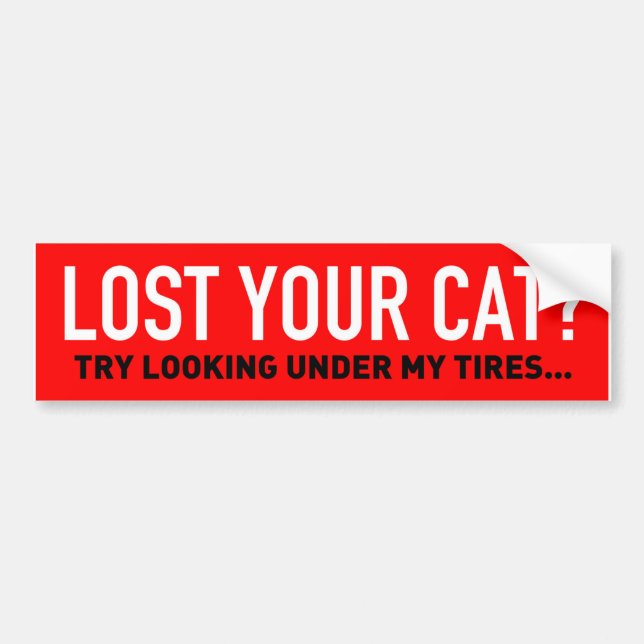 Your cat under my tires bumper sticker (Front)