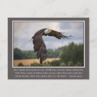 Your CoIor Wings like Eagles Isaiah 40:31 Bible