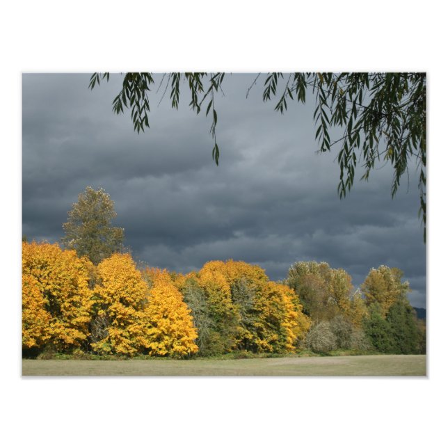 Your Custom 16" x 12" Photo Enlargement Print (Front)