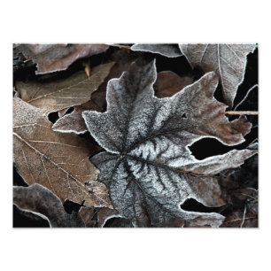 Your Custom 16" x 12" Photo Enlargement Print