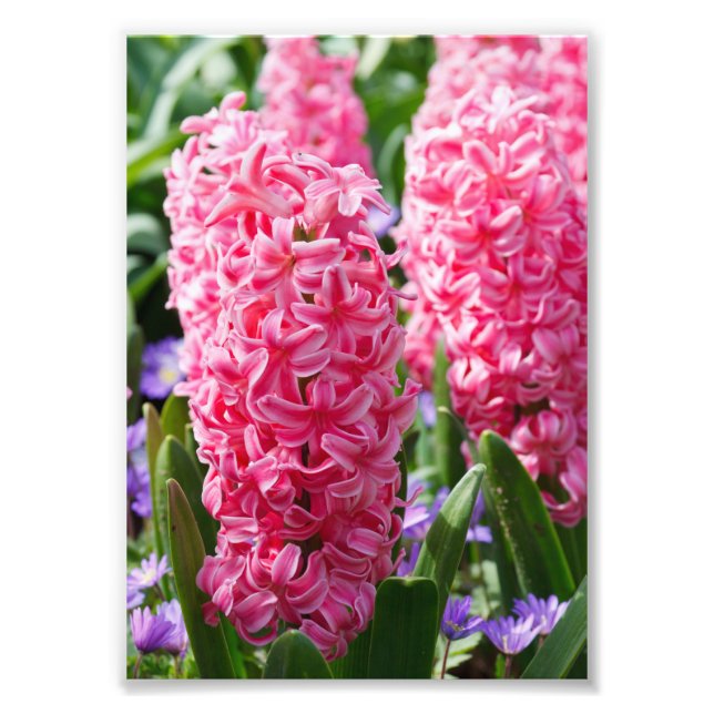 Your Custom 5" x 7" Photo Enlargement (Front)