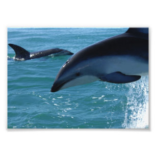 Your Custom 7" x 5" Photo Enlargement Print