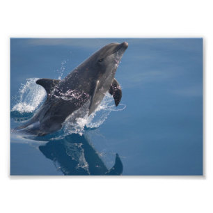 Your Custom 7" x 5" Photo Enlargement Print