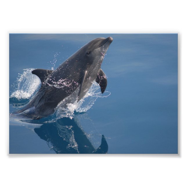 Your Custom 7" x 5" Photo Enlargement Print (Front)