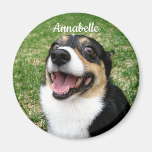 Your Custom Pet Photo Add Your Dog Here Magnet