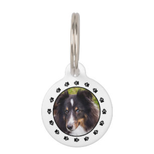Your Custom Pet Photo With Paws & Pet's Info Pet Tag