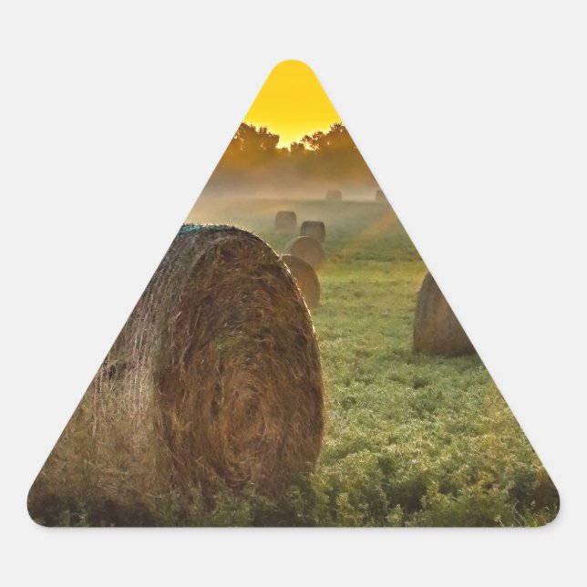 Your Custom Triangle Stickers (Front)
