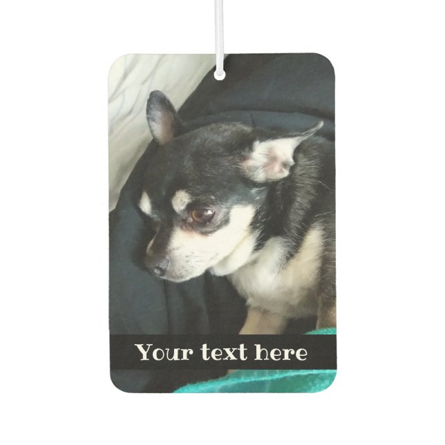 Your cute pet on an car air freshener (Front)