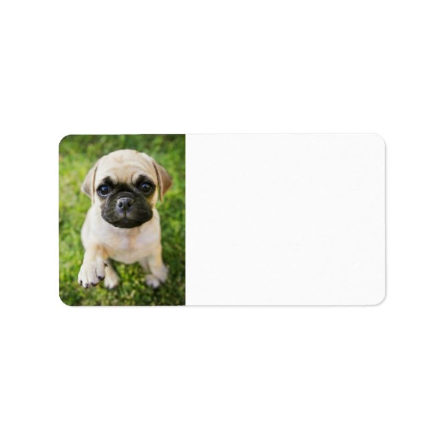 Your Cute Pet Photo Custom Address Label (Front)