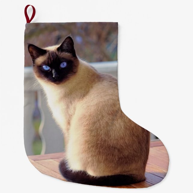 Your Dog, Cat or Pet Photo Christmas Large Christmas Stocking (Front)