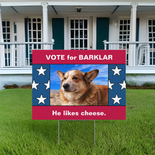 Funny dog best sale signs for sale