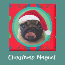 Your Dog Photo-Add Our Santa Hat-Holiday Green Red