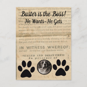 Your Dog Photo n Paws 1860 Legal Document Funny Postcard