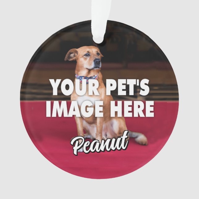Your Dog Photo Ornament (Front)