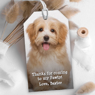Your Dog's Birthday Pawty Thank You Favour Gift Tags