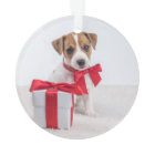 Your Dog's First Christmas | Charcoal with Photos