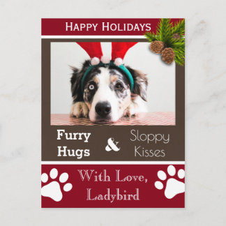 Your Dogs Holiday II Horizontal Photo Postcard