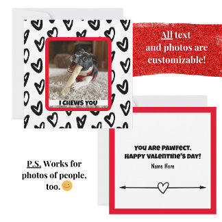 Your Dog's Photo Funny and Cute Note Card