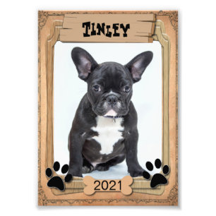 Your Family Pet - Decorative Photo Template Print